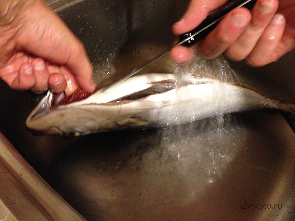 Как правильно почистить рыбу